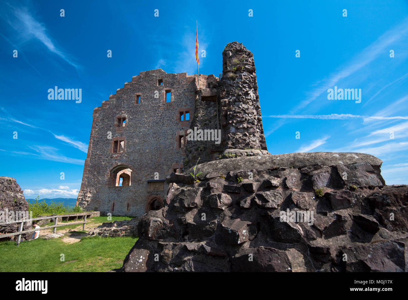 Vegetation in germany hi-res stock photography and images - Alamy