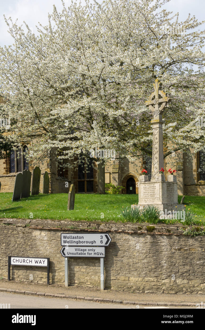 A Spring scene in the village of Grendon, Northamptonshire, UK; a WW1 memorial against the backdrop of Spring blossom, direction signs in front. Stock Photo