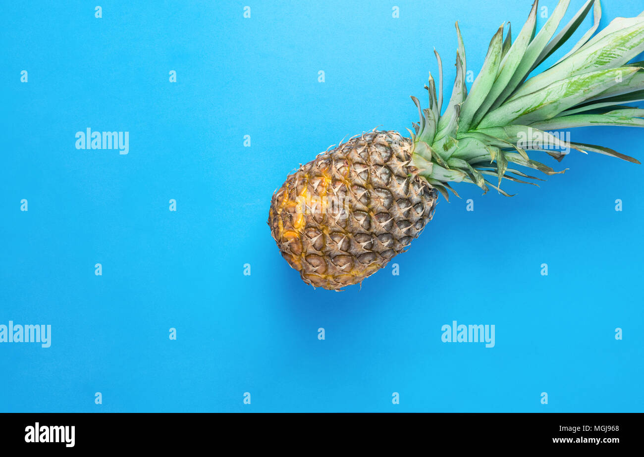 Ripe Pineapple with Long Bushy Green Leaves on Blue Background. Summer Vacation Travel Tropical Fruits Vitamins Fashion Concept. Flat Lay Copy Space.  Stock Photo