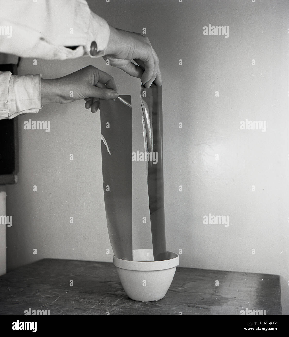 1950s, historical picture shows negative film roll before being developed. Here the film is soaked in water to swell the gelatin layer, facilitating the action of the subsequent chemical treatments. Stock Photo