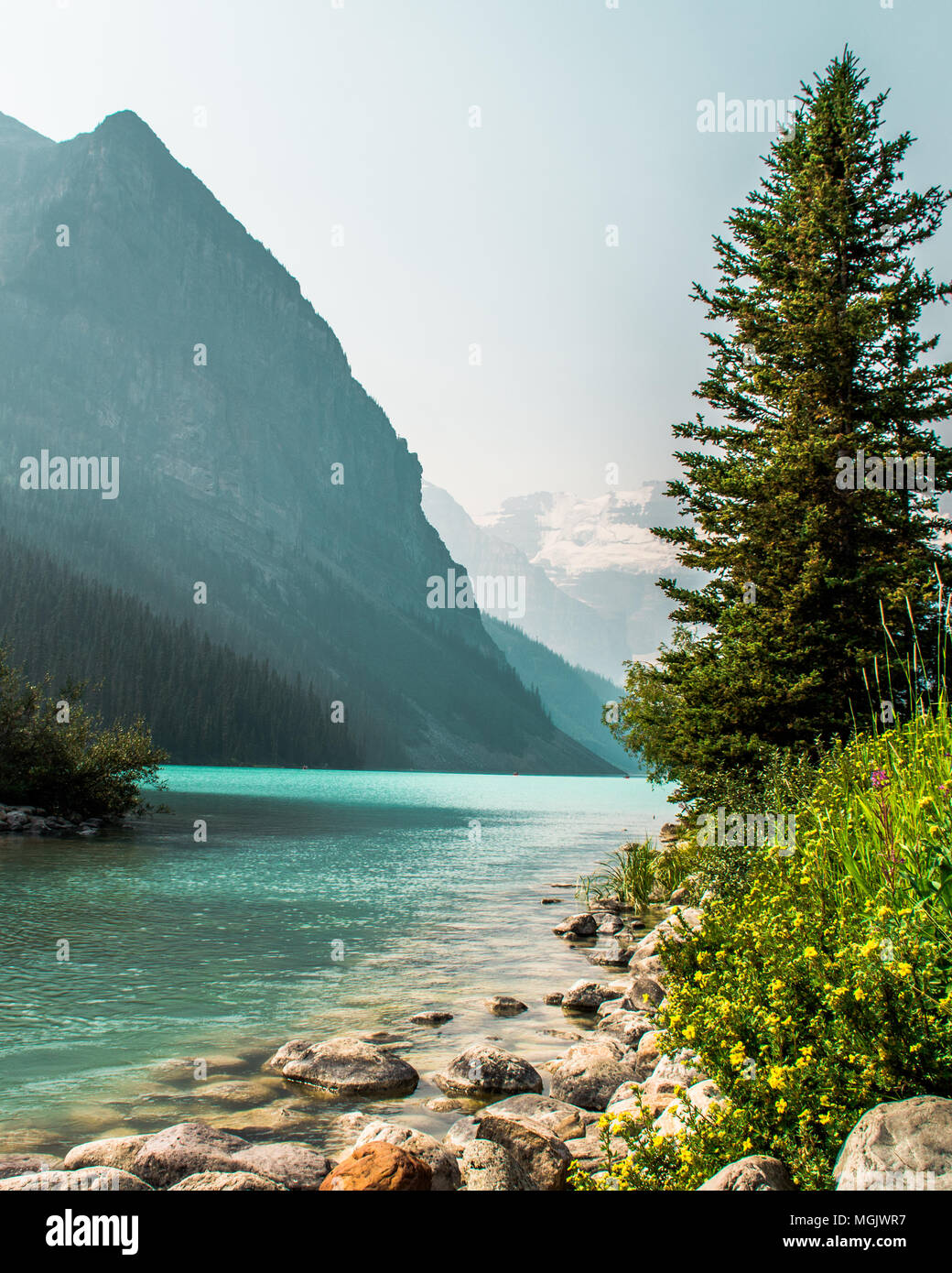 Beautiful Lake Louise in Banff National Park, Alberta Canada Stock ...