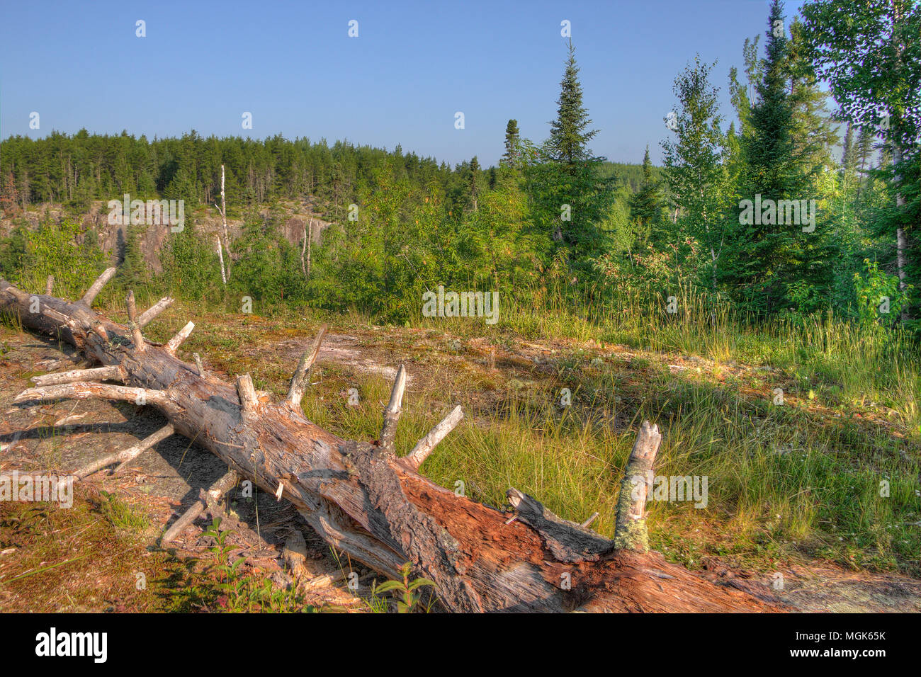Gunflint trail is a 50 mile road winding through the Superior National Forest with no towns Stock Photo