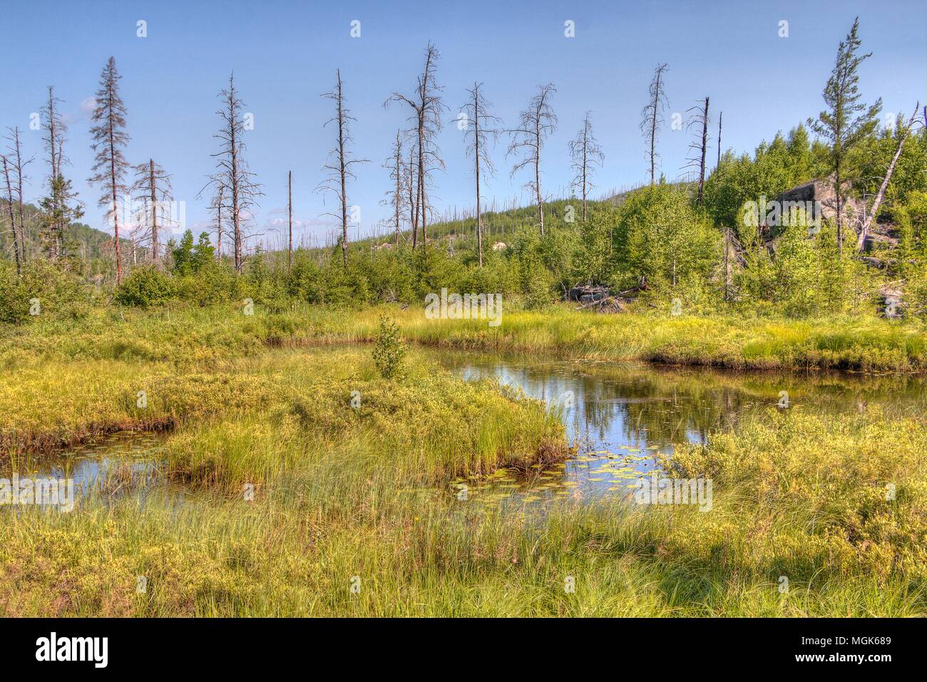 Gunflint trail is a 50 mile road winding through the Superior National Forest with no towns Stock Photo