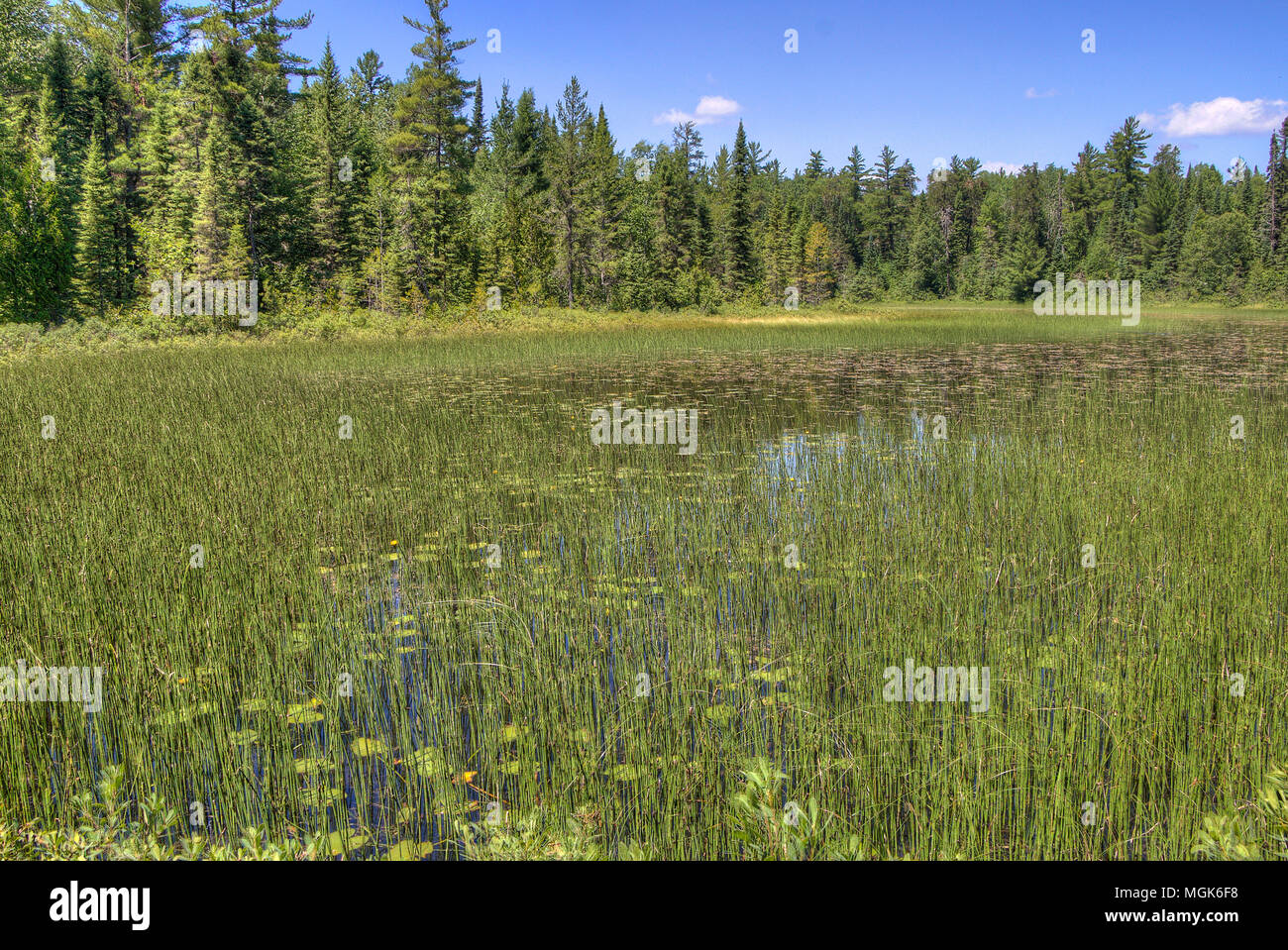 Gunflint trail is a 50 mile road winding through the Superior National Forest with no towns Stock Photo