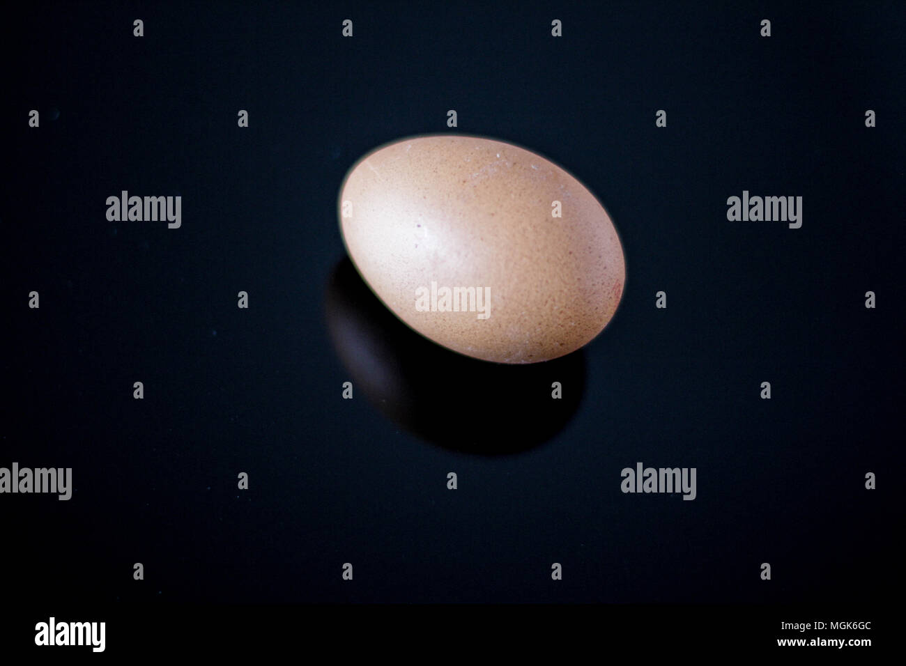 Brown egg on the black reflective surface Stock Photo
