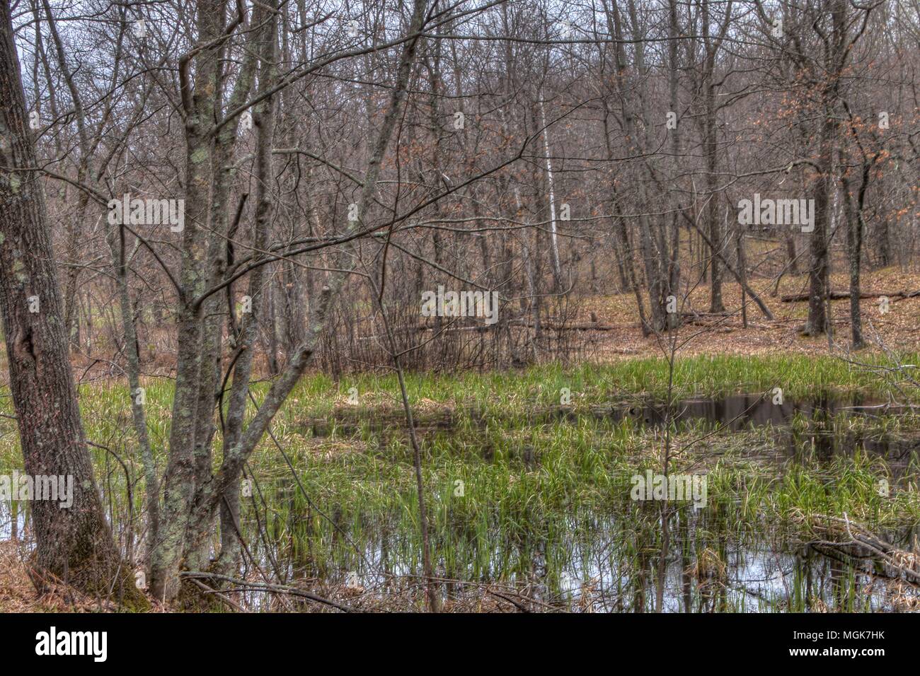 Mille Lacs Kathio State Park is located on Mille Lacs Lake in Northern