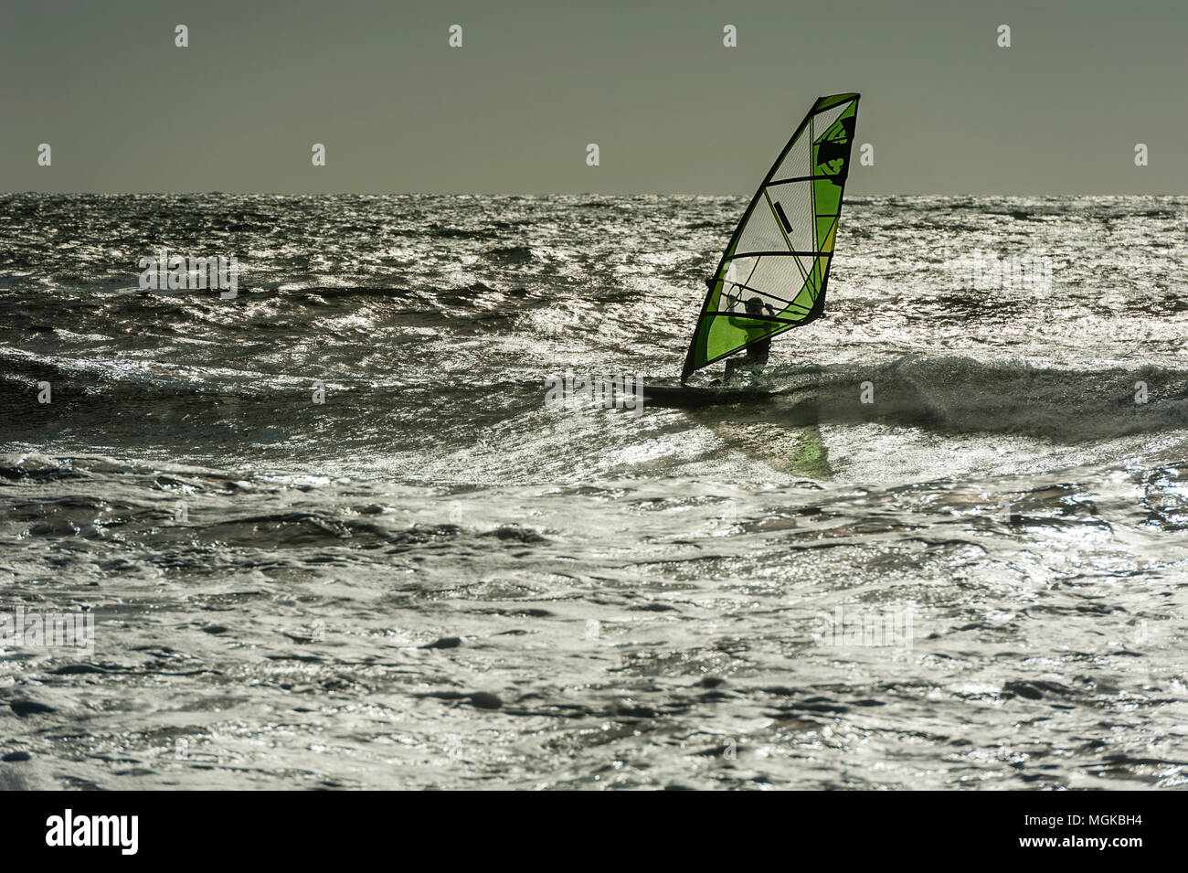 Windsurfer with green sail backlit on a metallic sea. Stock Photo