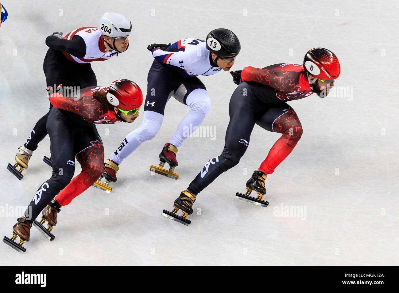 Charles Hamelin (CAN) #8, J.R. Celski (USA) #13, Samuel Girard (CAN) #3  and Roberto Pukitis (LAT) #204 competing in the Men's 1,500m short track spee Stock Photo