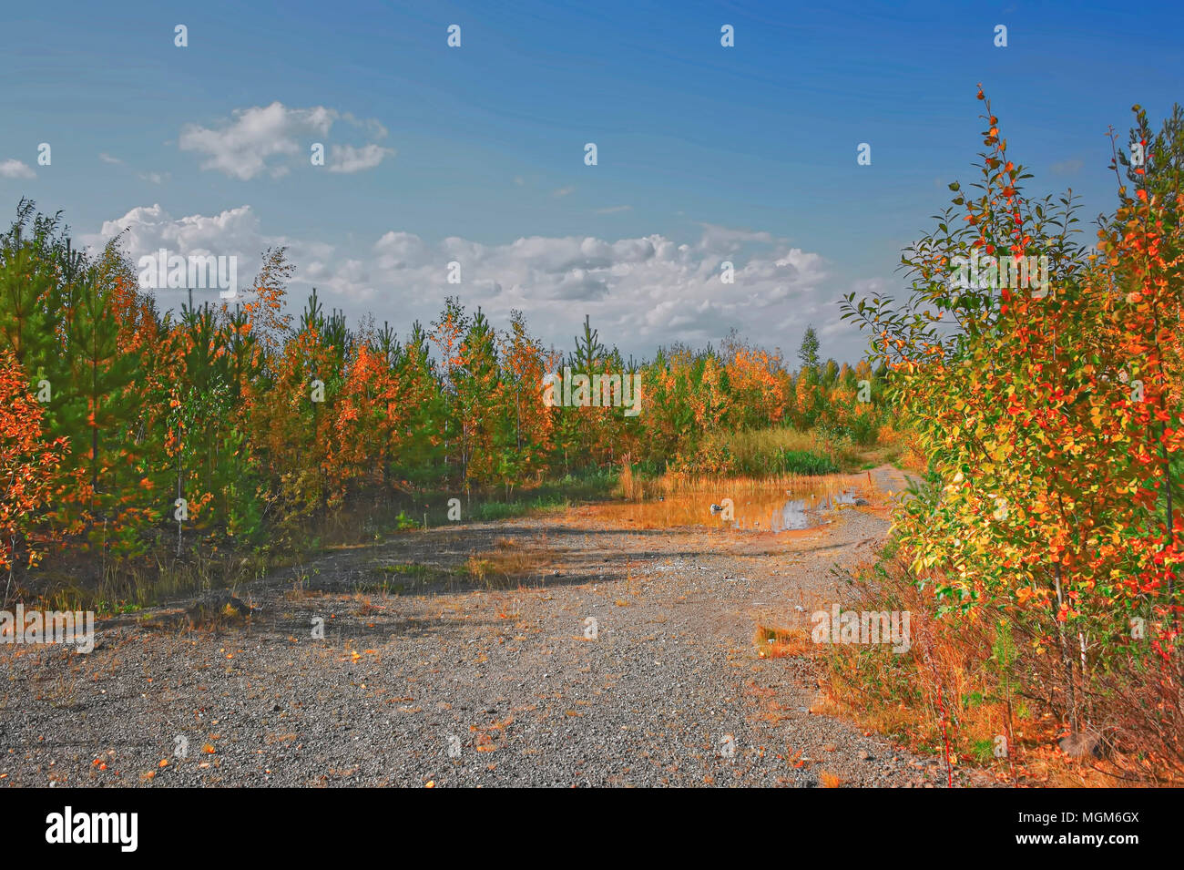 the mountain autumn landscape with colorful forest Stock Photo - Alamy