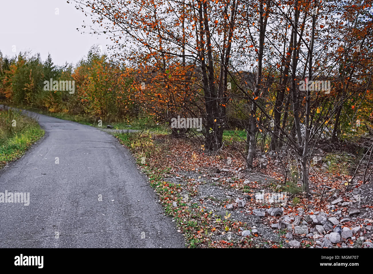 the mountain autumn landscape with colorful forest Stock Photo - Alamy