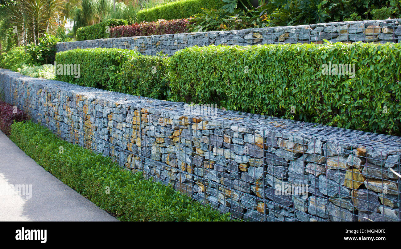 Multi-tiered courtyard garden with hedges and stone Gabon retaining walls in a modern garden setting Stock Photo