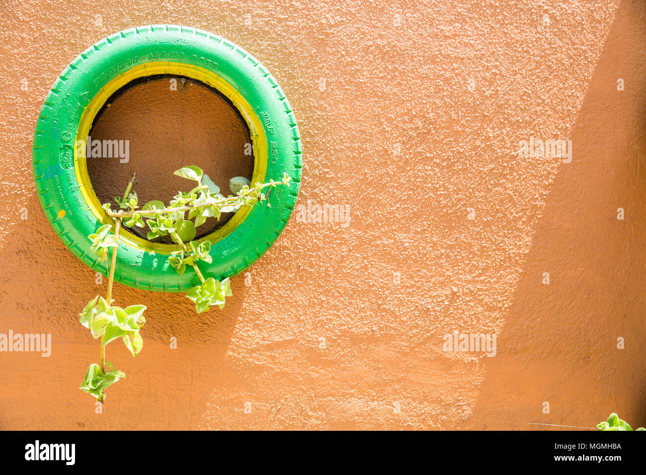 Unusual flower pot bed in the garden. A flower bed out of old car tires