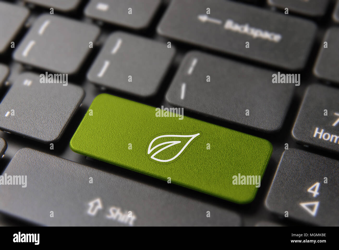 Green energy button on computer keyboard for environment help and conservation awareness concept. Laptop key with modern tree leaf line art icon. Stock Photo