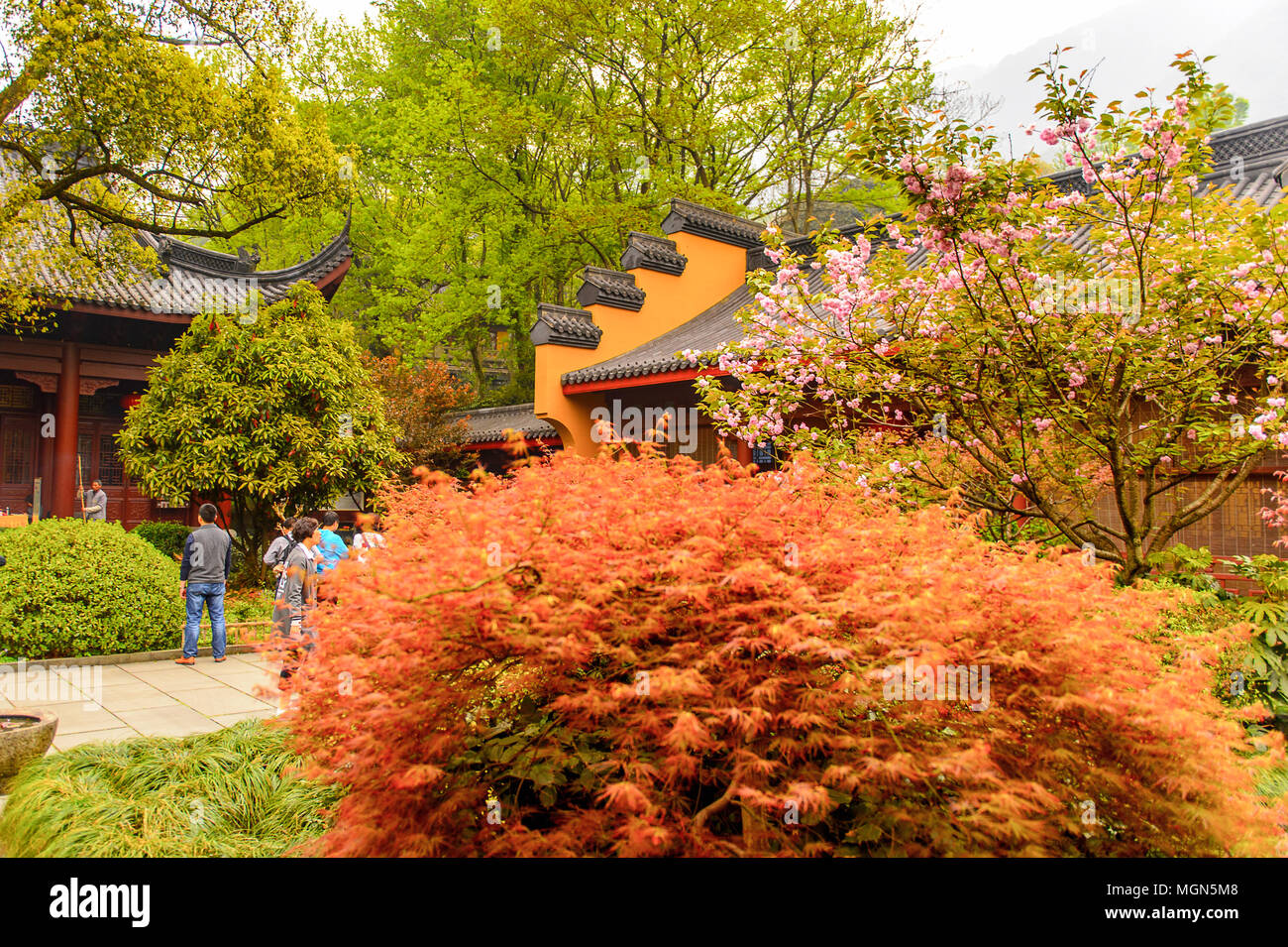 Lingyin Temple (Temple of the Soul's Retreat) complex. One of the