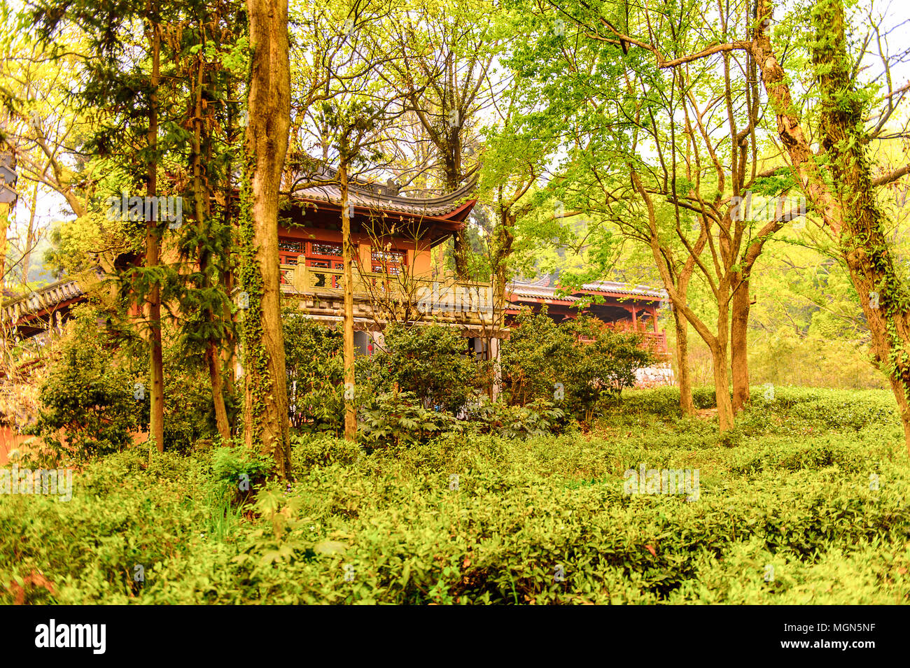 Lingyin Temple (Temple of the Soul's Retreat) complex. One of the