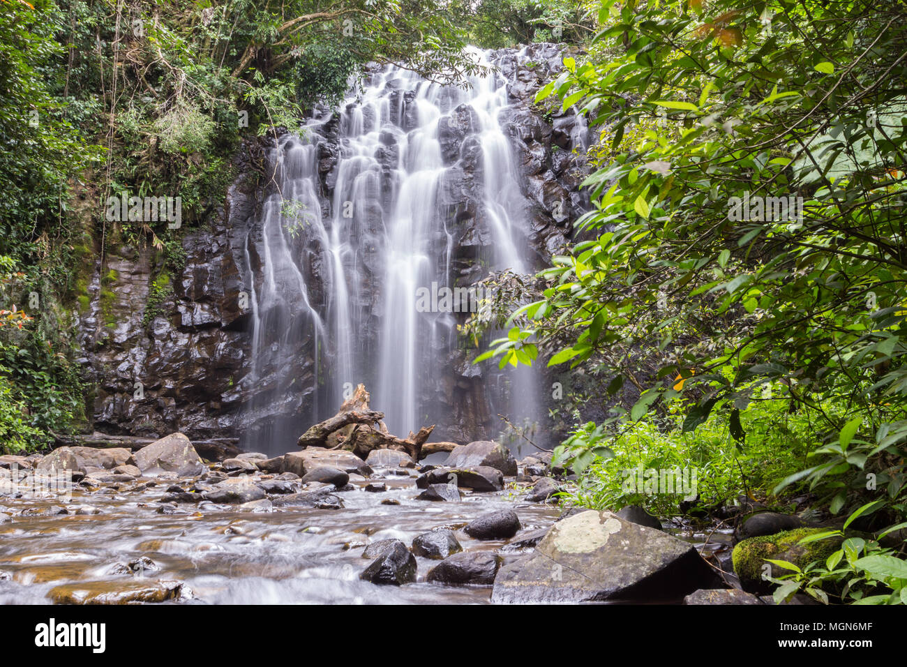 Cairns and Daintree national park, Australia Stock Photo Alamy
