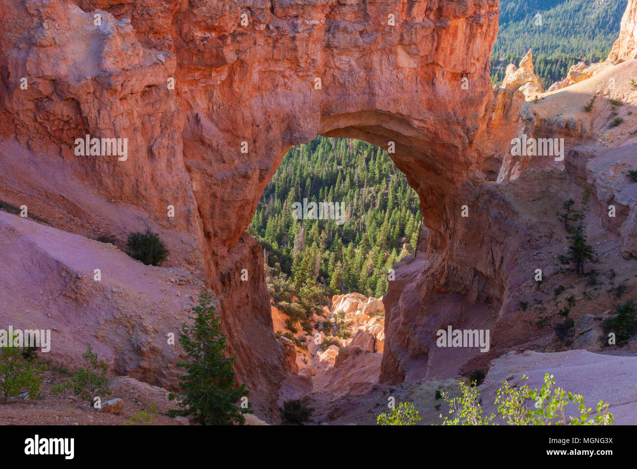 Natural Bridge formation in Bryce Canyon National Park in Utah, in