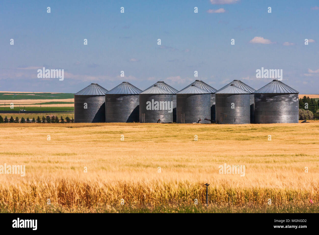 Storage Silos on Idaho farm. Potato and grain farming are major industries in Idaho, especially in the Snake River Plains. Irrigation is essential. Stock Photo