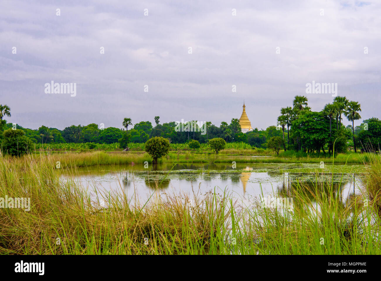 Nature of Myanmar Stock Photo - Alamy
