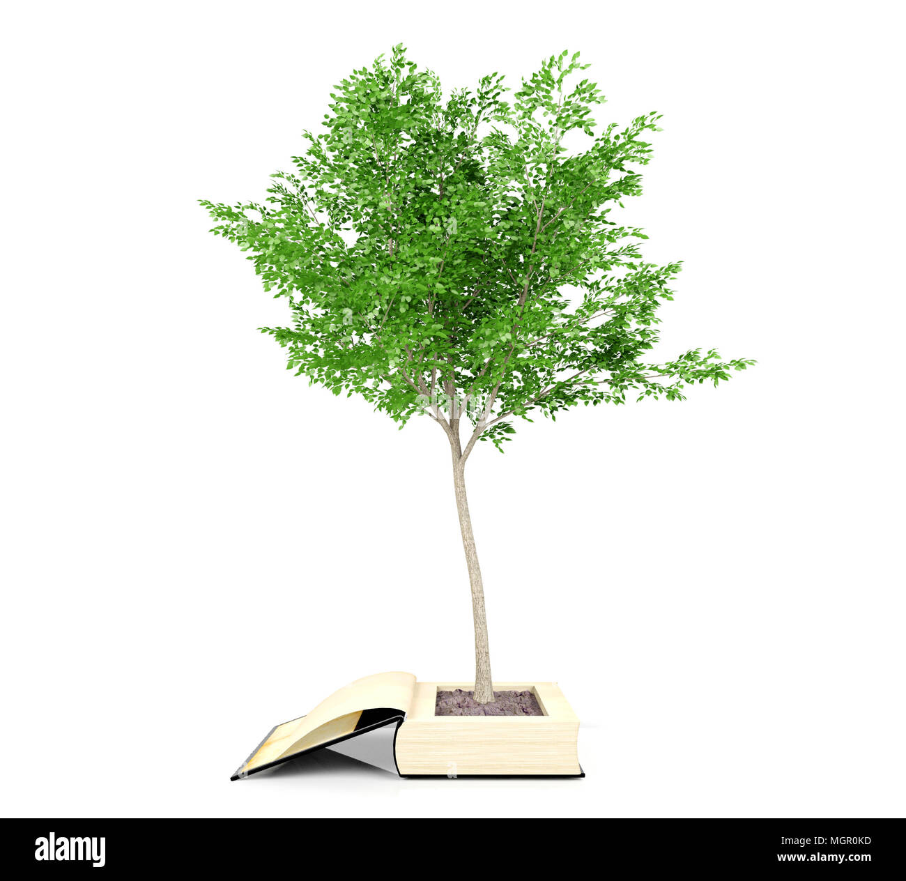 Tree growing from the old book. Reading develops imagination. Knowledge growth from education concept, 3D rendering Stock Photo