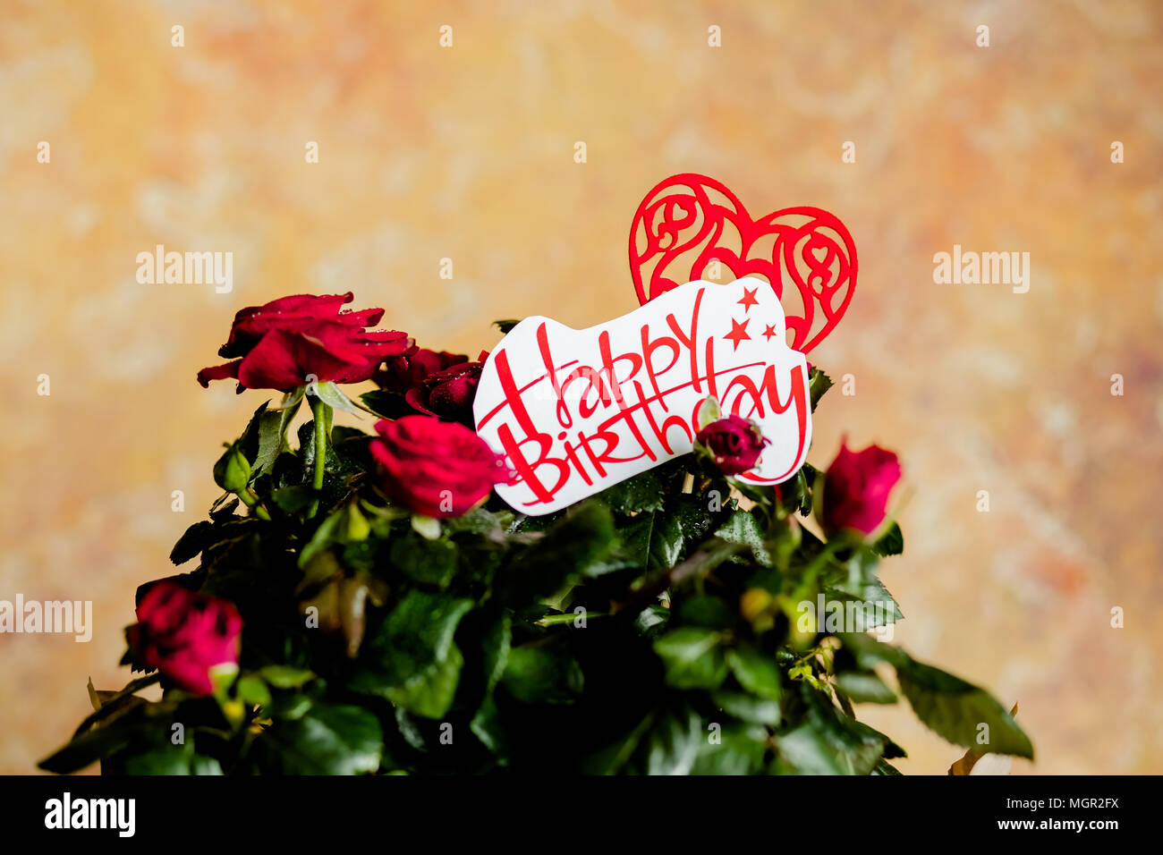 Red roses flowers with red heart on wooden background.birthday card with beautiful red rose.red flowers and message Happy birthday, Stock Photo