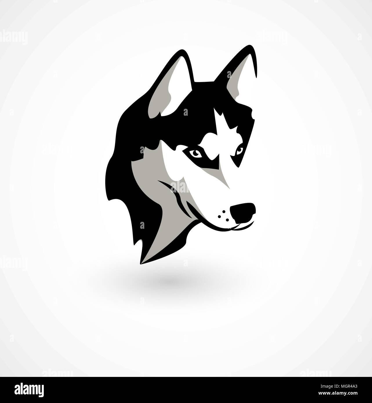Vector illustration of Husky isolated on white. Stock Vector