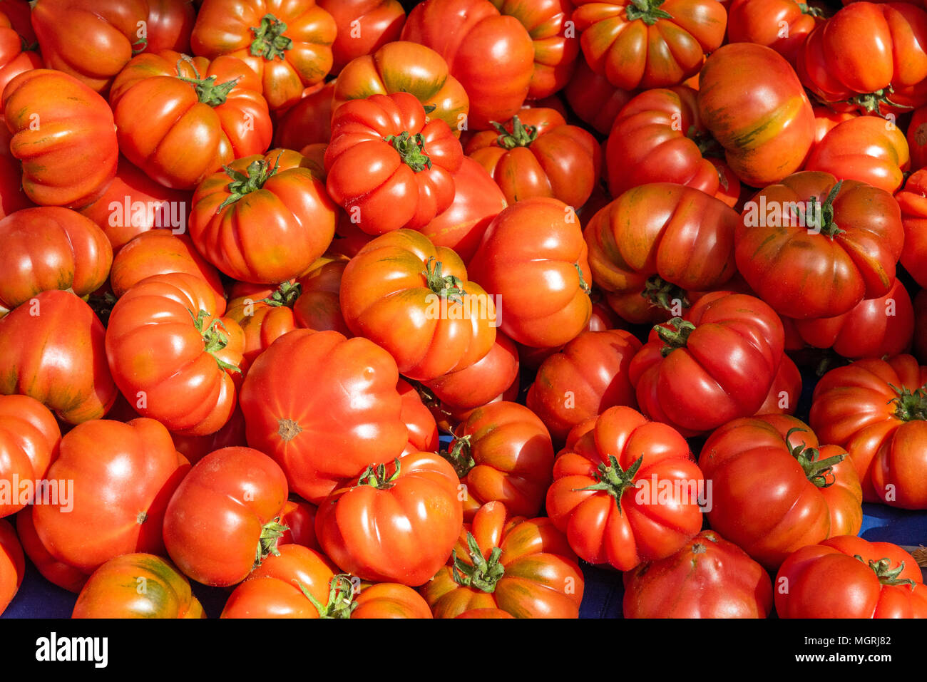 Sicilian tomatoes hires stock photography and images Alamy