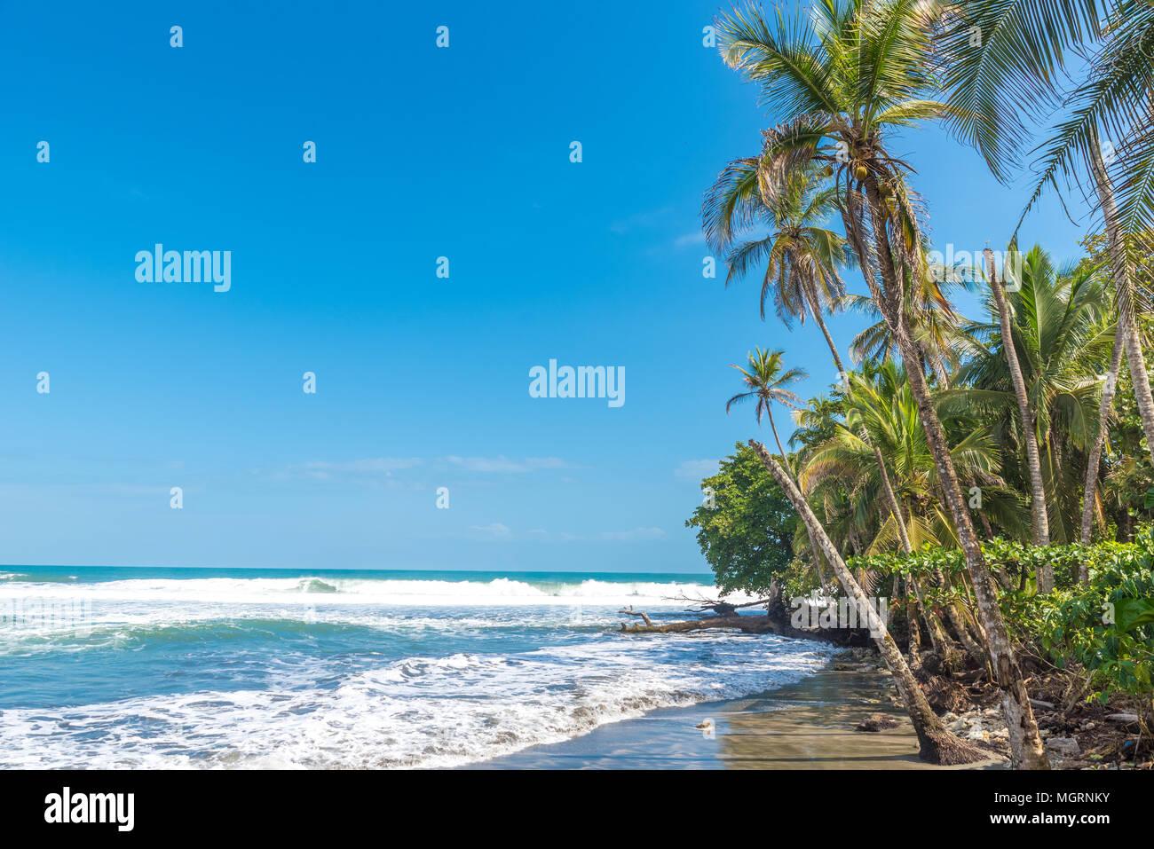 Playa Negra - black beach at Cahuita, Limon - Costa Rica - tropical and ...