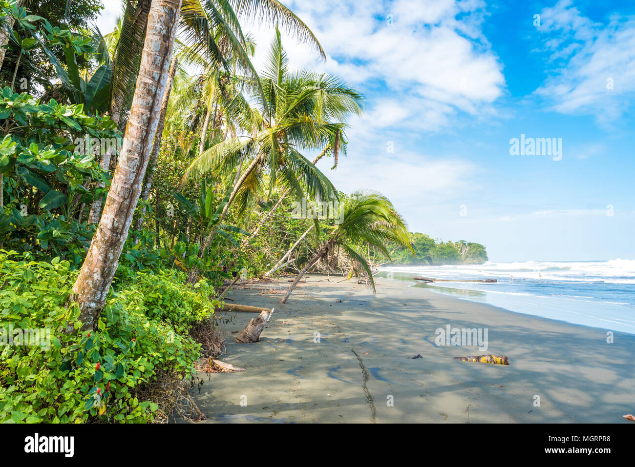 Playa Negra black beach at Cahuita, Limon Costa Rica tropical and