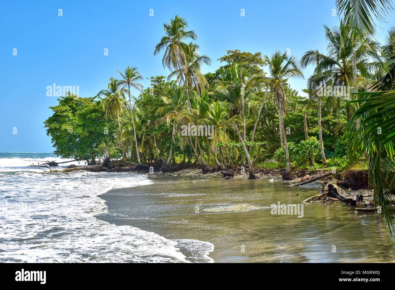 Playa Negra black beach at Cahuita, Limon Costa Rica tropical and