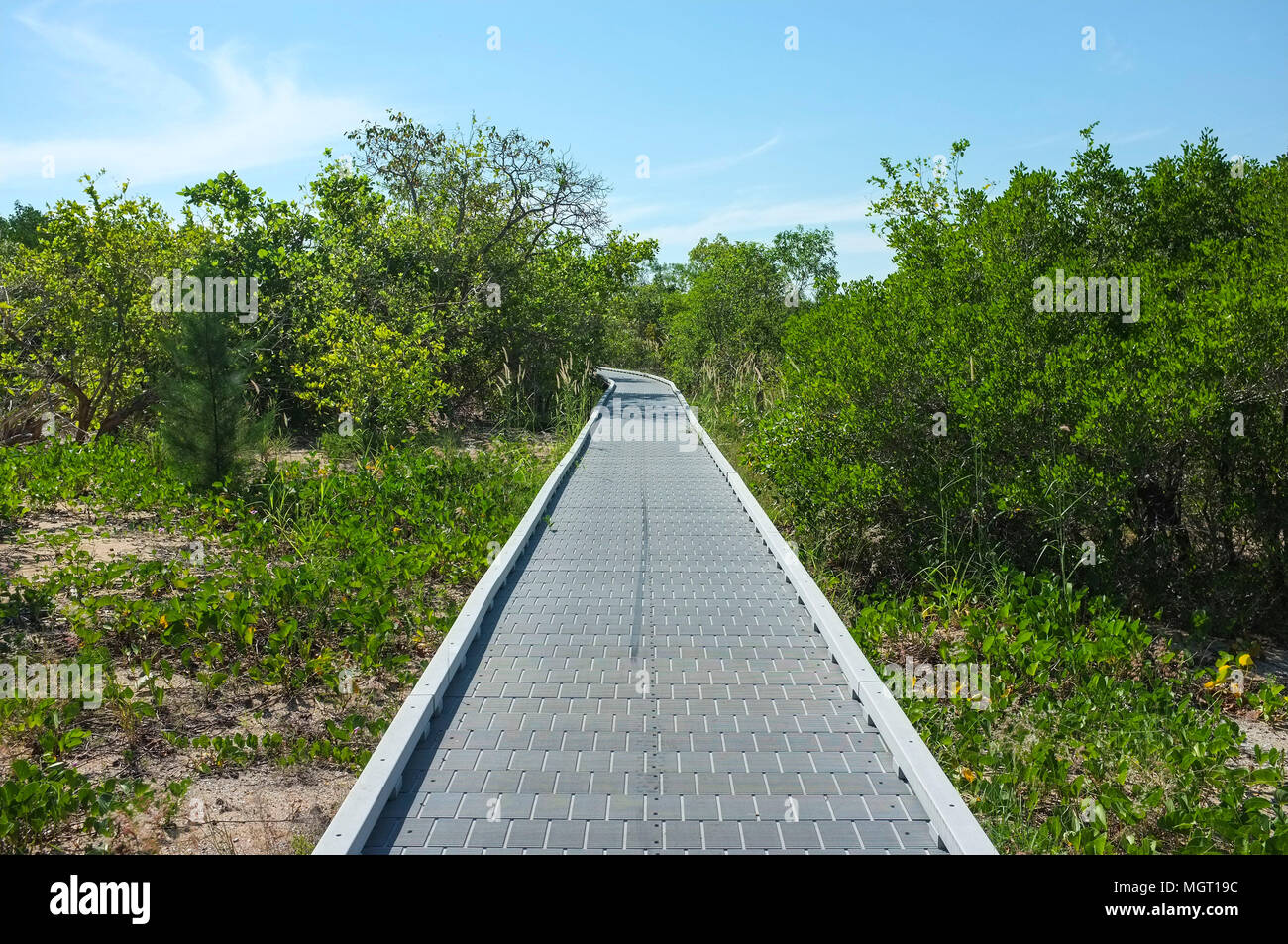 Mangrove Boardwalk at East Point Reserve in Darwin, Northern Territory