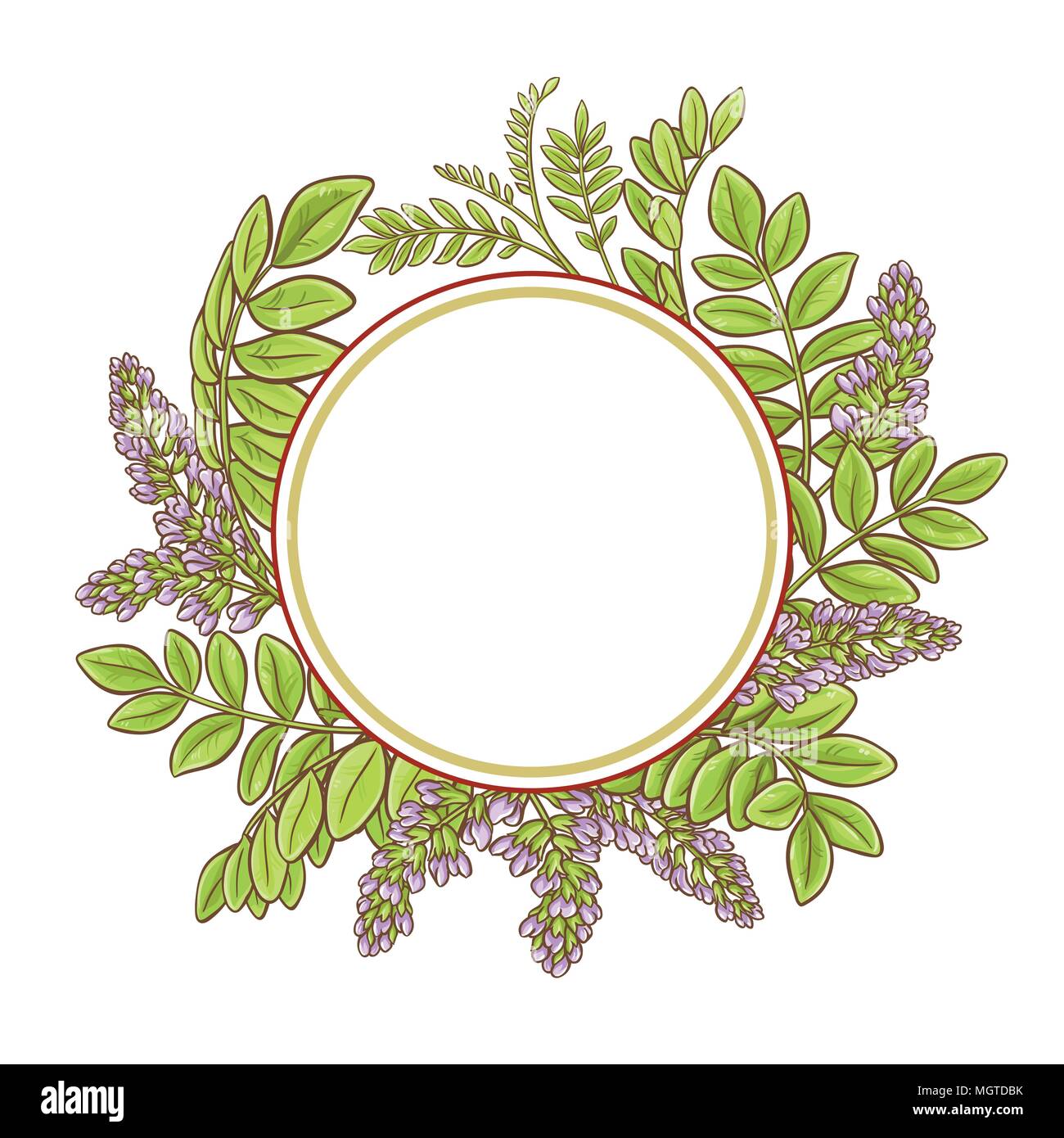 licorice plants vector frame on white background Stock Vector