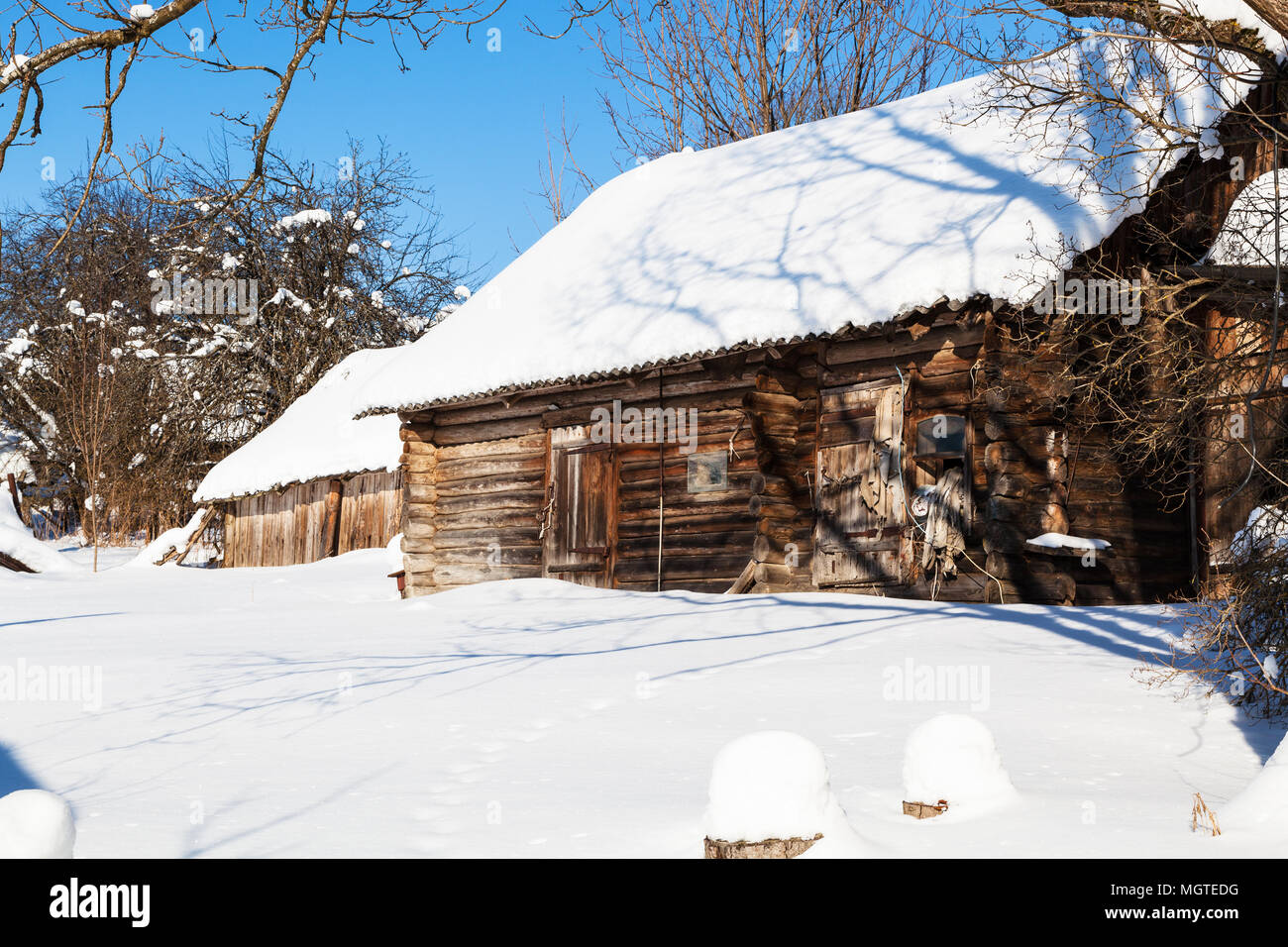 abandoned wooden russian rural house in sunny winter day in little ...