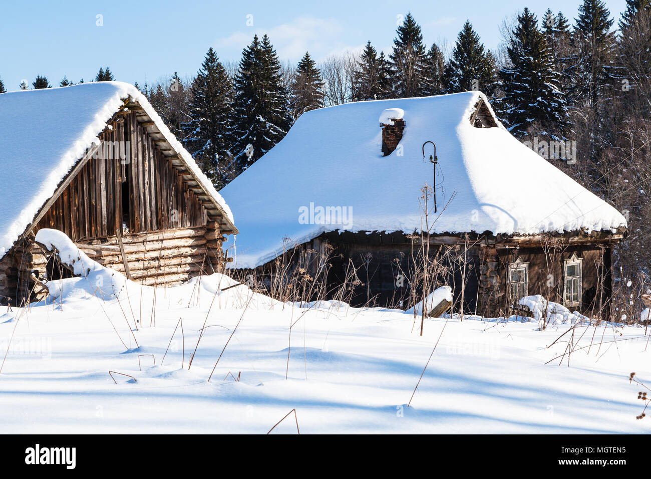 snow-covered old abandoned rural houses at the edge of forest in sunny ...