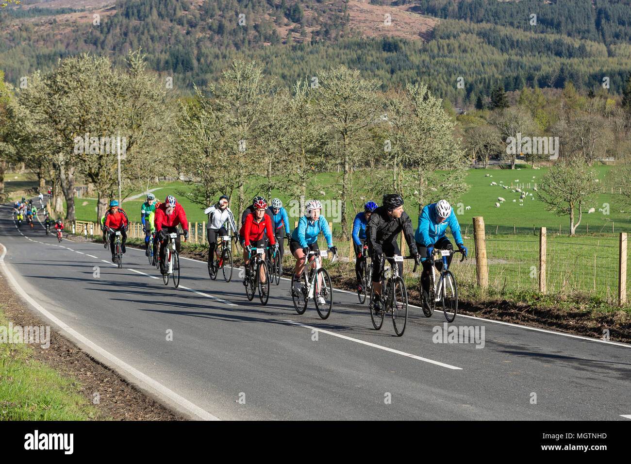 loch ness sportive
