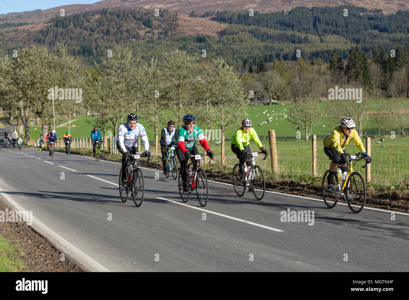 Fort Augustus, Scotland, UK. 29th April, 2018. Cyclists taking part in the Etape Loch Ness closed road cycle sportive following a 360-degree 66-mile / 106-Km route around Loch Ness, Scotland, starting and finishing in Inverness. This event is expected to attract 5,600 cyclists from across Scotland and the UK. Thousands of pounds will be raised by participants for Macmillan Cancer Support, the official event charity. This image shows participants reaching the half way point near Fort Augustus. Cliff Green/Alamy Live News Stock Photo