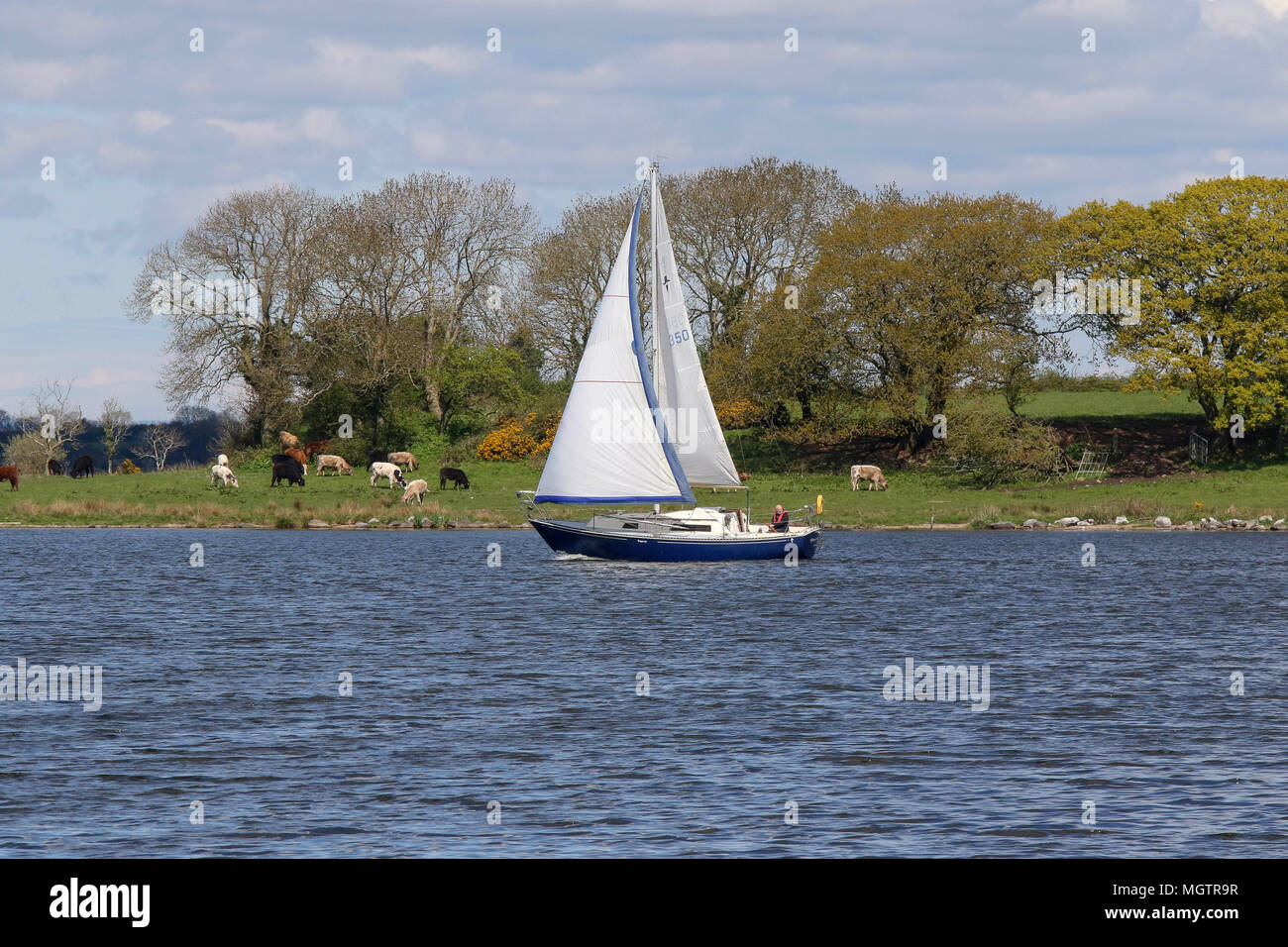 Southern shore lough neagh hires stock photography and images Alamy