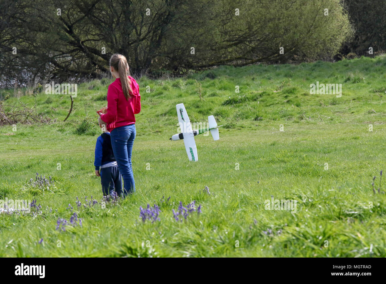 Oxford Island, Lough Neagh, Northern Ireland. 29 April 2018. UK weather - a very pleasant spring day saw temperatures up to 13C at the southern shore of Lough Neagh. A day for learning to get to grips with a model plane as this Skywalker Axion RC model plane crashes to the ground. Credit: David Hunter/Alamy Live News. Stock Photo