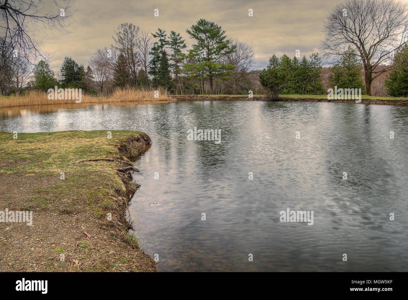 A View of Trees by The Lake with Their Roots Exposed in Upstate New