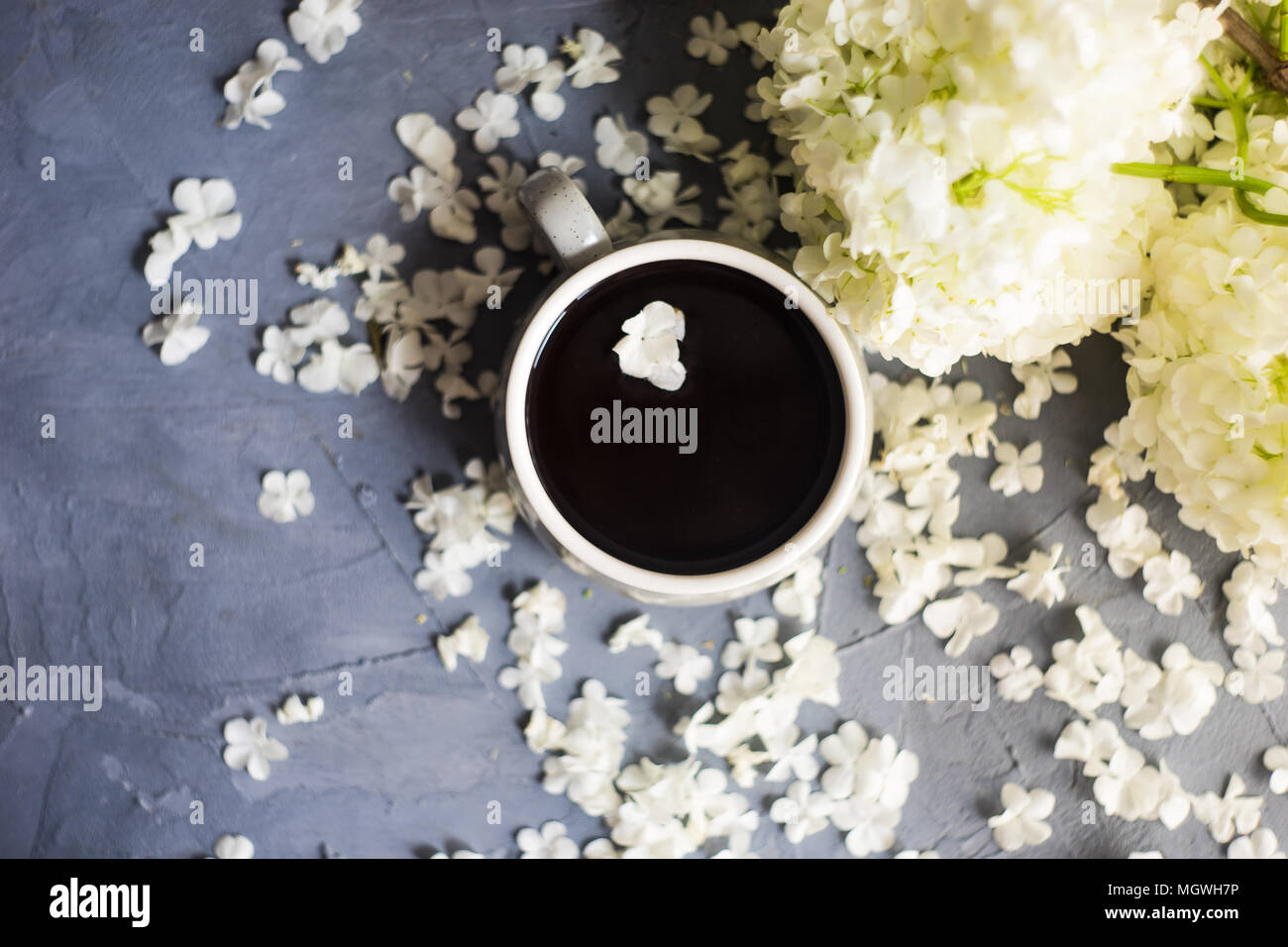 Cup of coffee and white Viburnum opulus 'Roseum' on rustic background Stock Photo