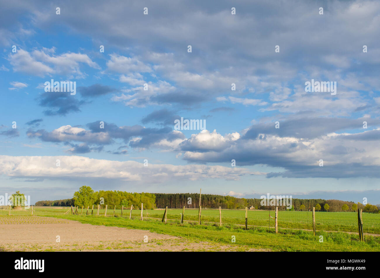 old wooden fence leading into the rural landscape with forest and ...