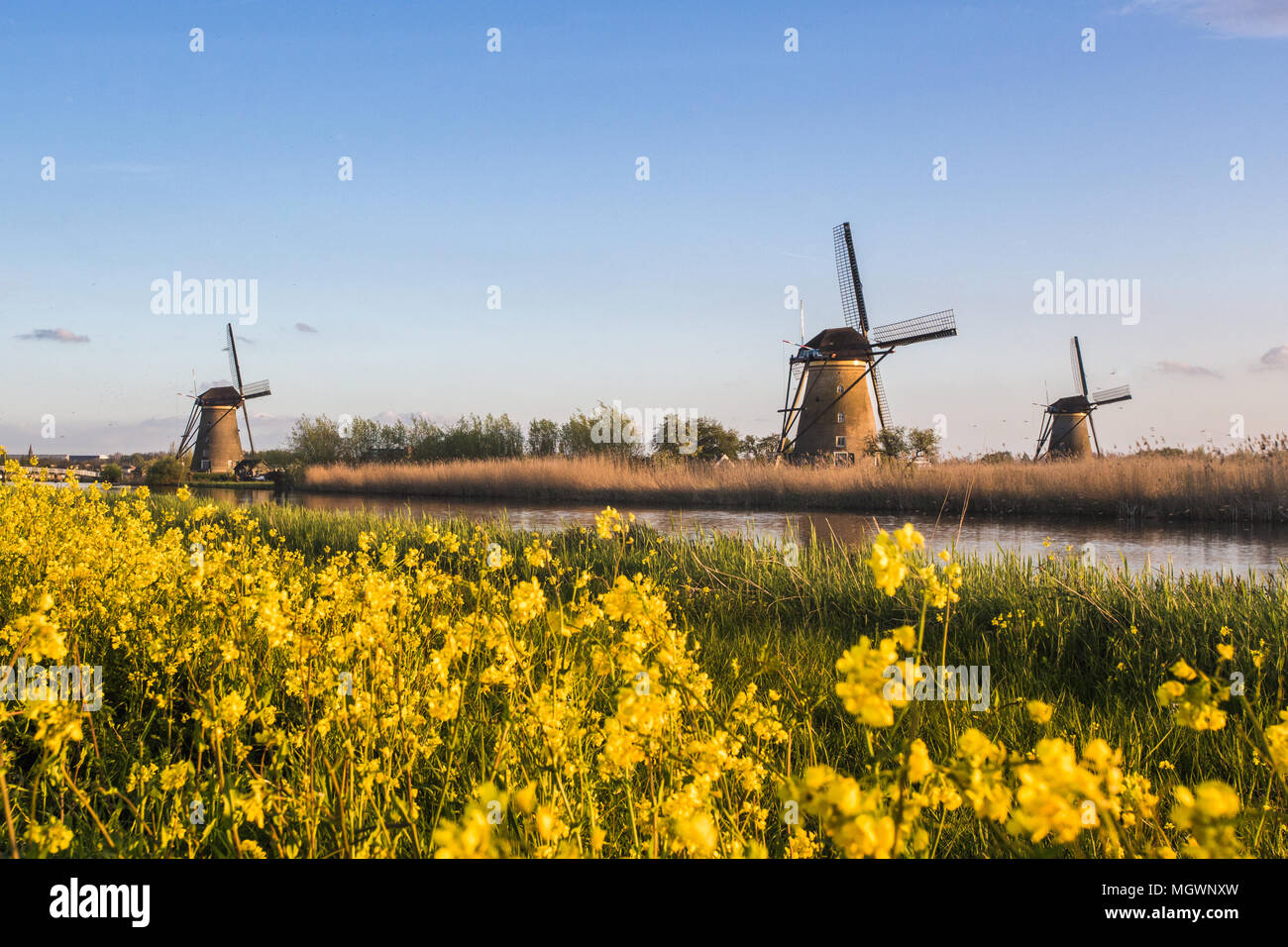 Sunset on windmill reflected in the canal Kinderdijk Molenwaard South Holland The Netherlands Europe Stock Photo