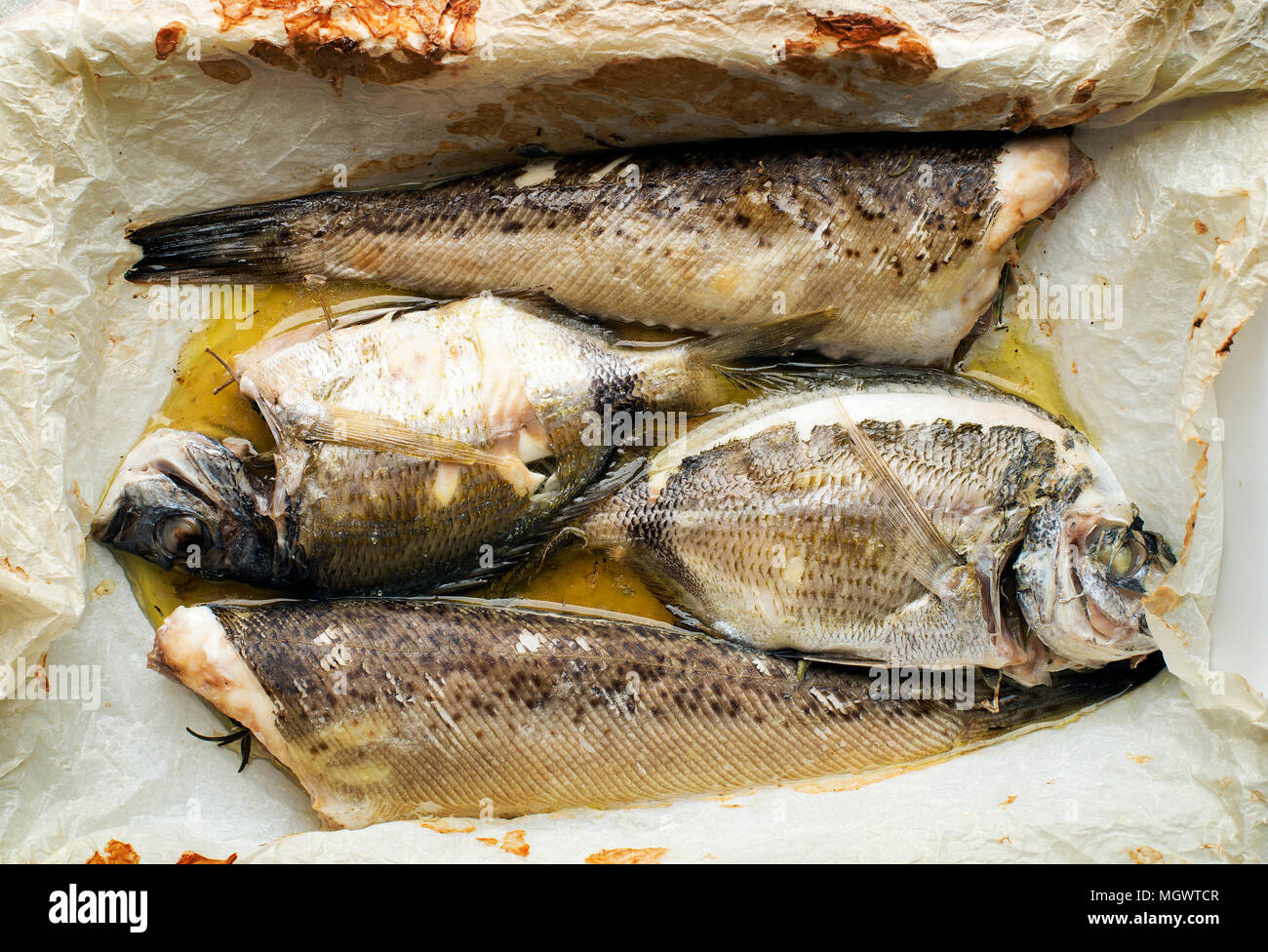 Fresh Grilled sea fish with herbs and spices Stock Photo Alamy