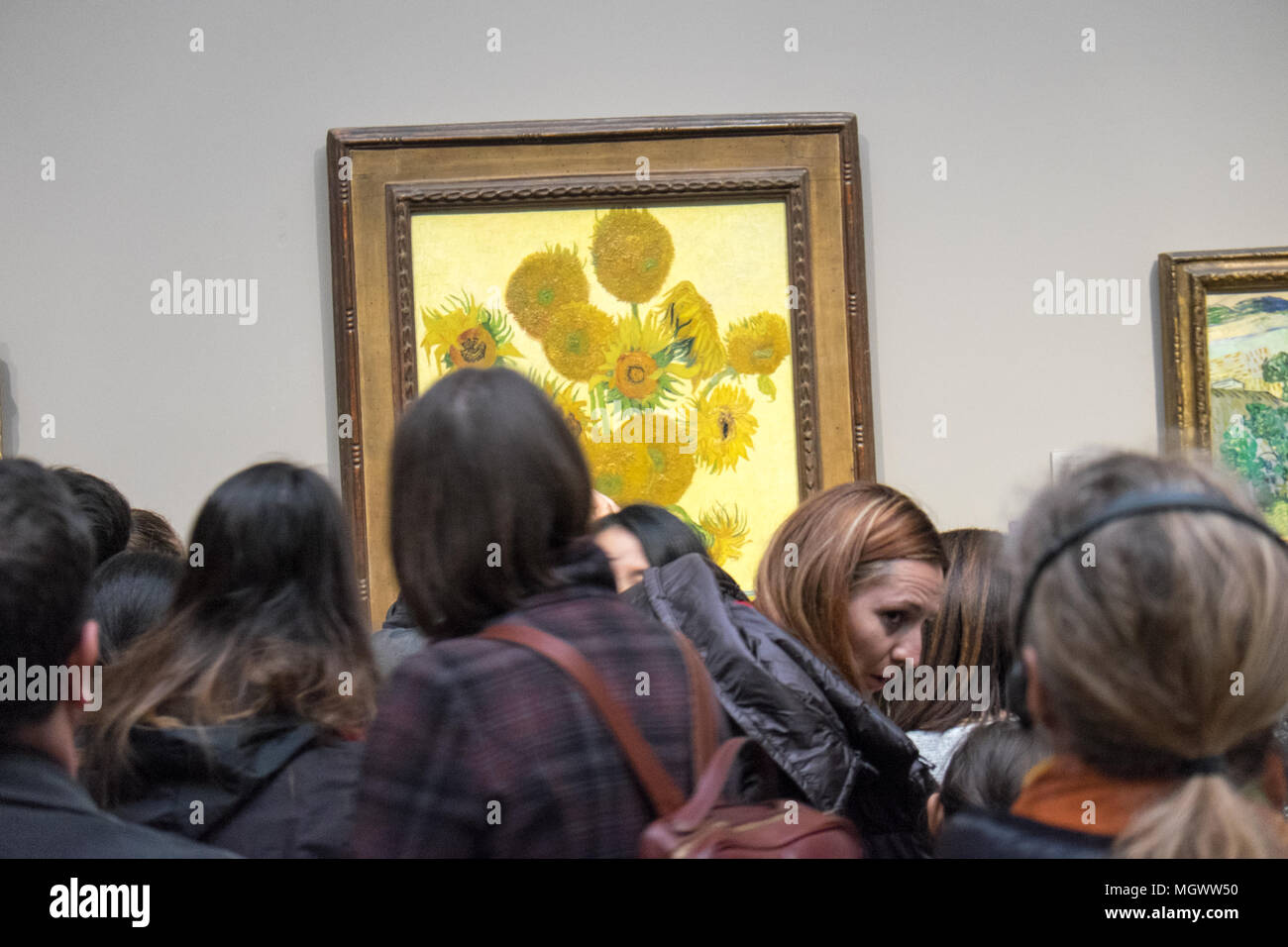 Photographing,mobile,camera,phones,Vincent,Van Gogh,Sunflowers,painting,National Gallery,Trafalgar Square,London,England,Great Britain,GB,U.K.,UK, Stock Photo
