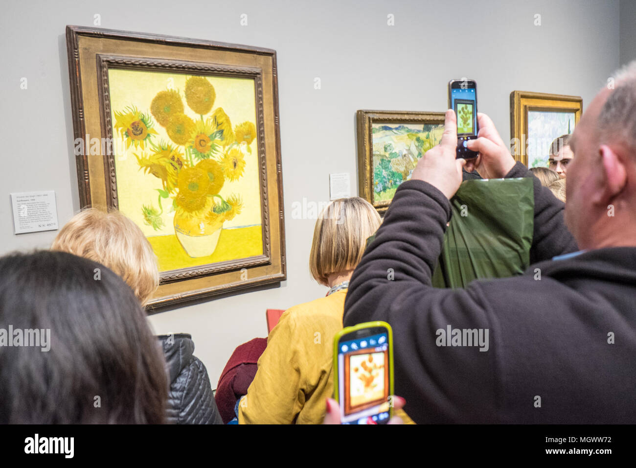 Photographing,mobile,camera,phones,Vincent,Van Gogh,Sunflowers,painting,National Gallery,Trafalgar Square,London,England,Great Britain,GB,U.K.,UK, Stock Photo