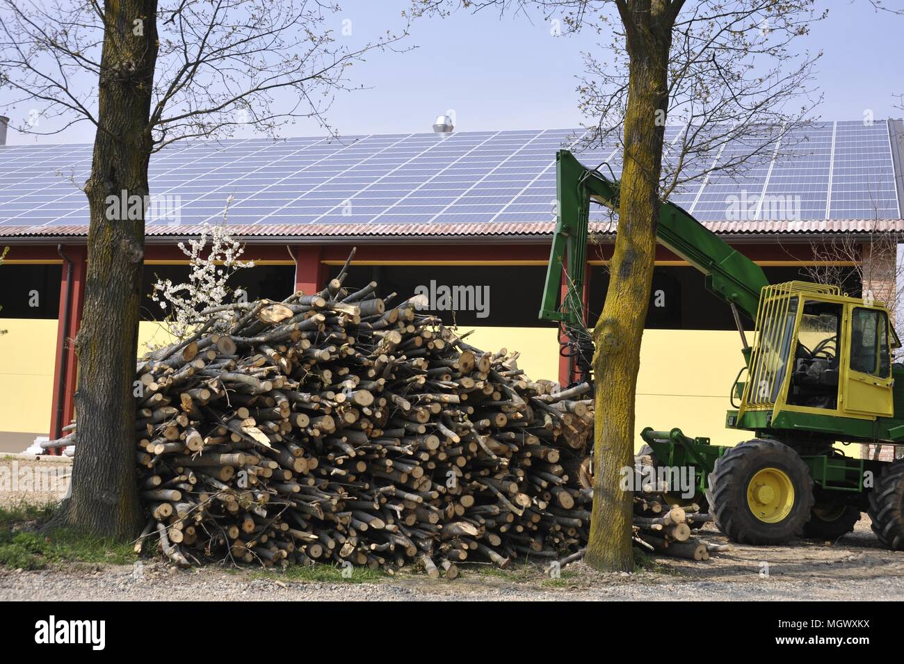 Plant for exploitation of biomass (wood waste) to produce electricity