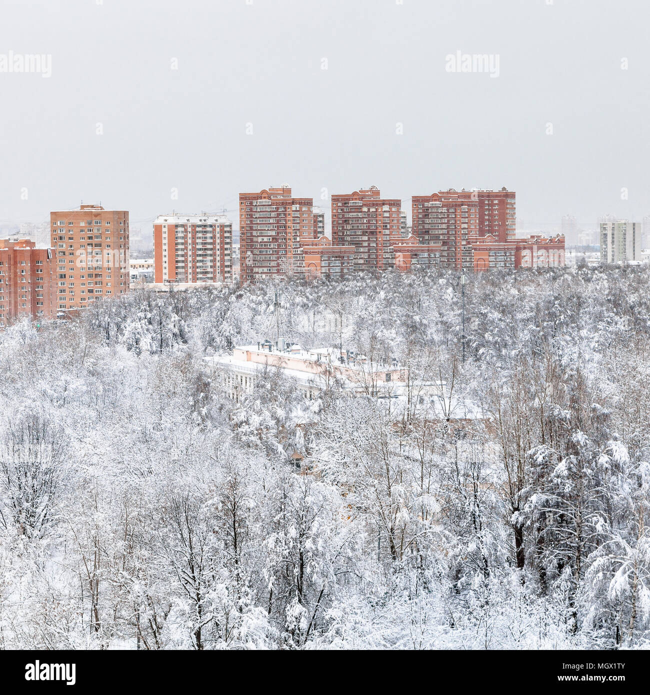 above view of urban Timiryazevskiy park and residential houses in ...