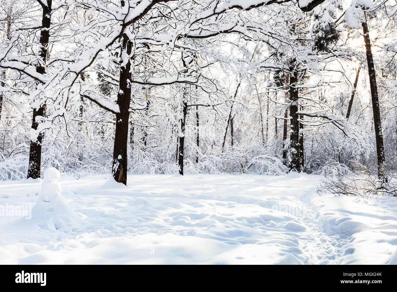 snowman on snowy glade in oak grove of Timiryazevskiy forest park of Moscow city in sunny winter morning Stock Photo