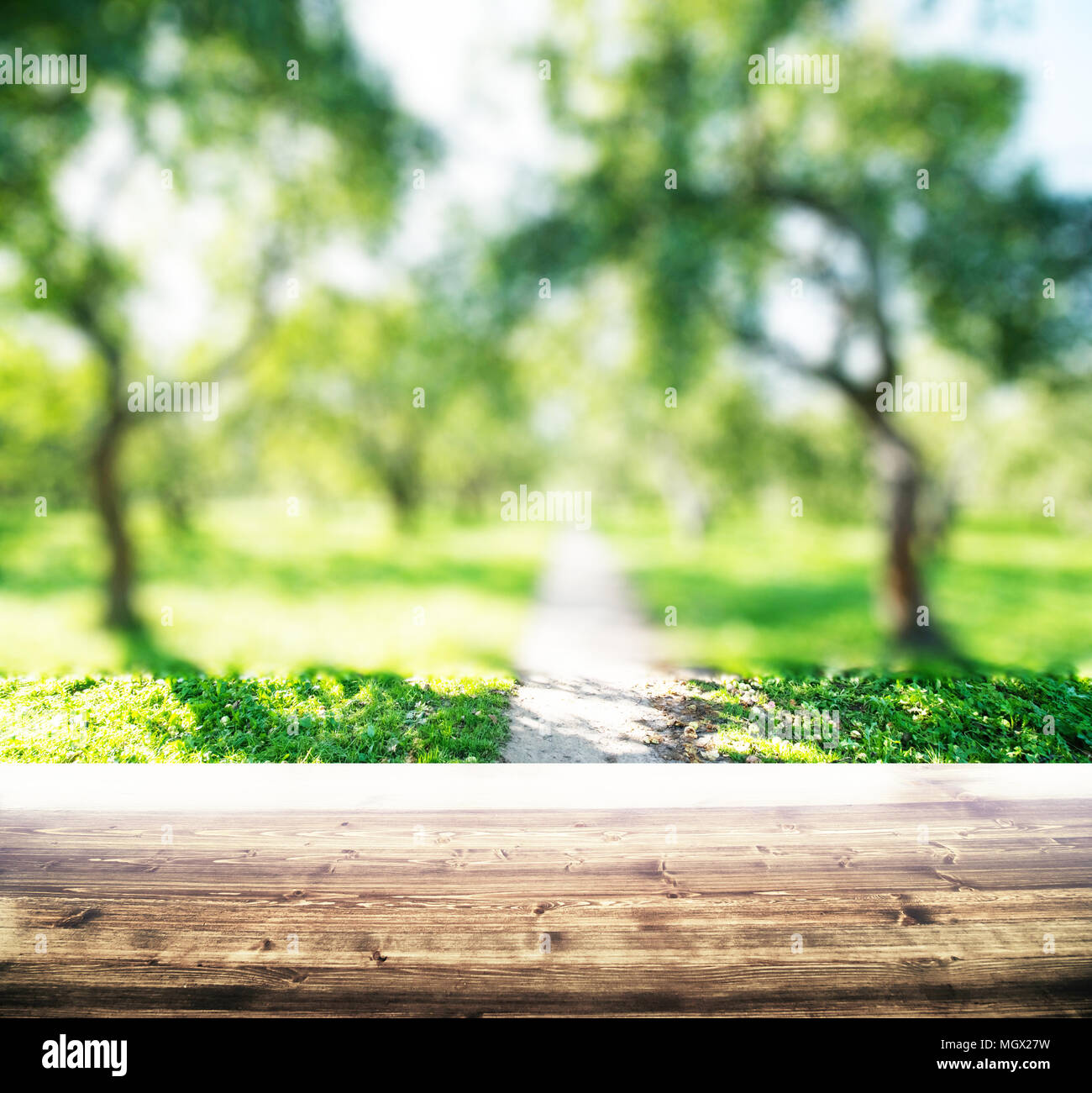 Blur background hi-res stock photography and images - Alamy