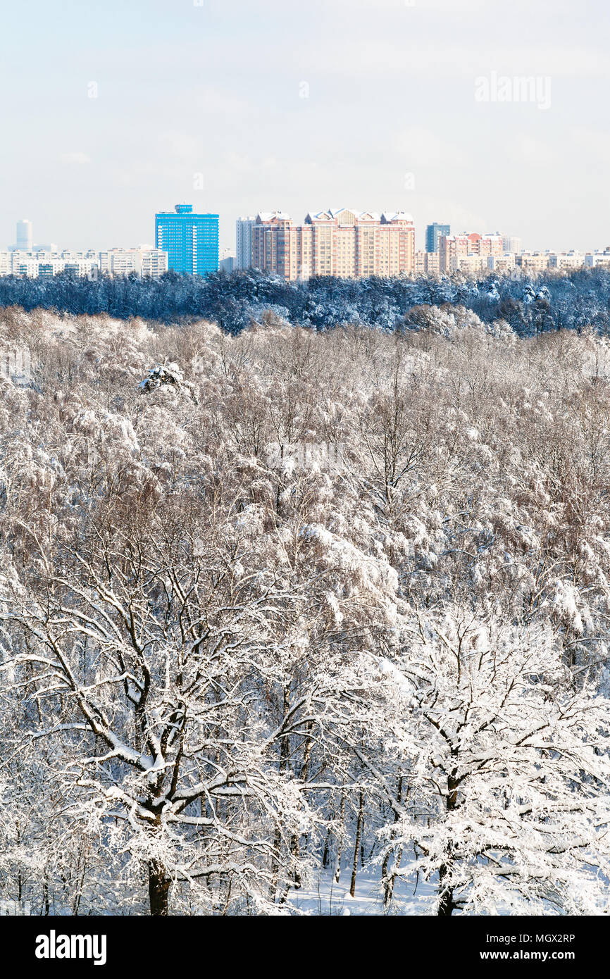 above view of oak grove in Timiryazevsky park and residential district ...